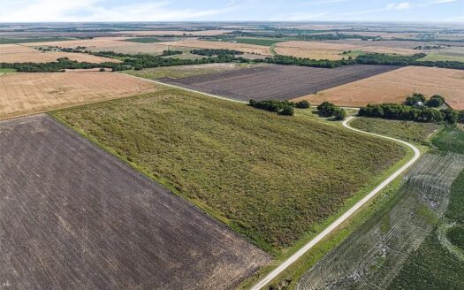 49.18 Unrestricted Ag Exempt Acres Located South of DFW, Less Than $8500/Acre, Electricity On Site & Water Meter Installed